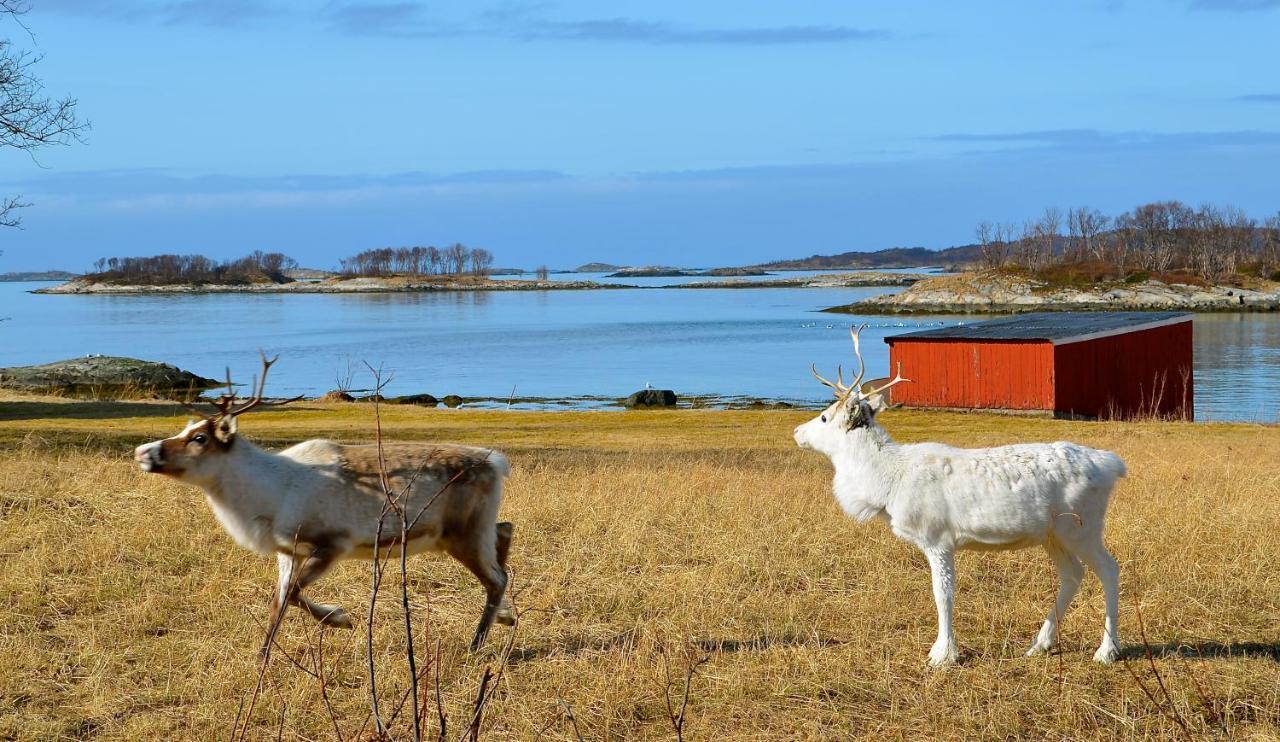 Hamn I Senja Hotel ภายนอก รูปภาพ