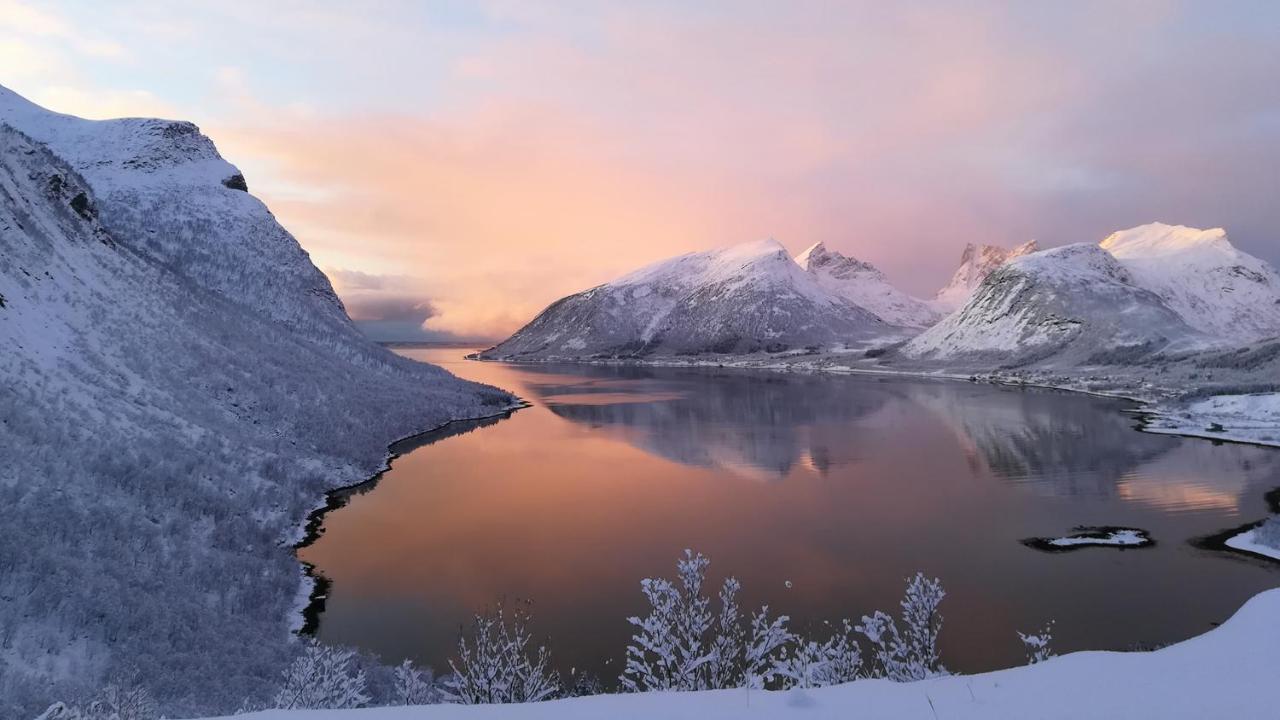 Hamn I Senja Hotel ภายนอก รูปภาพ